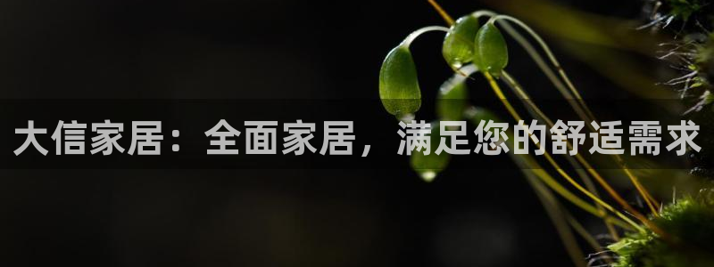 ug环球360官网