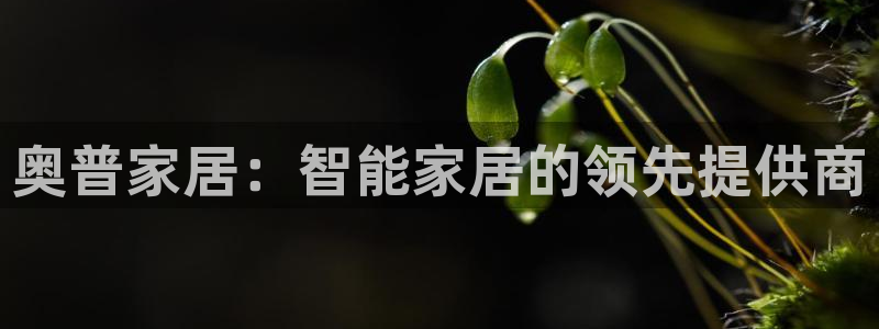ug环球假网一比一