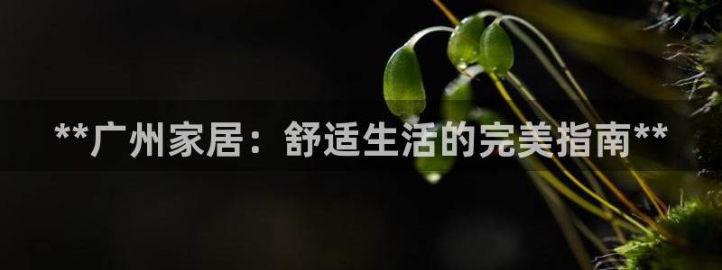 ug环球官网