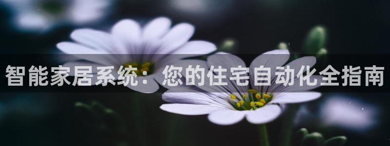 环球ug包杀网一比一