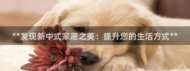 ug环球官网24小时