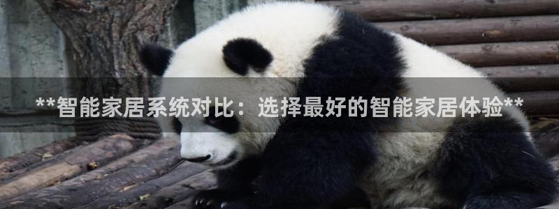 ug环球官网