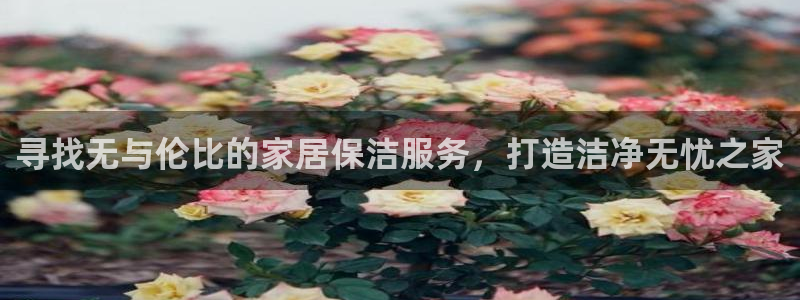 ug环球会员手机版下载