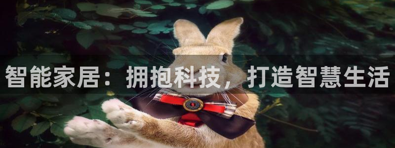 ug环球国际买分
