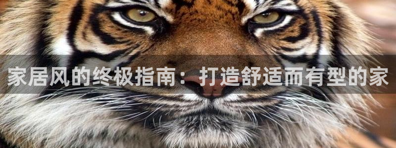 ug环球官网