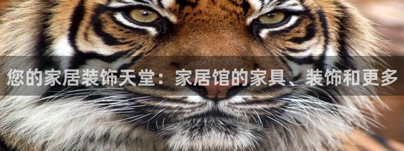 ug环球密码重置是多少位数啊