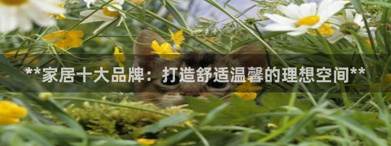 UG环球国际在线