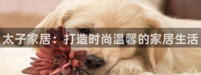ug环球会员充值
