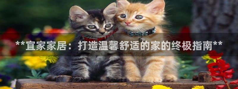 ug环球开户