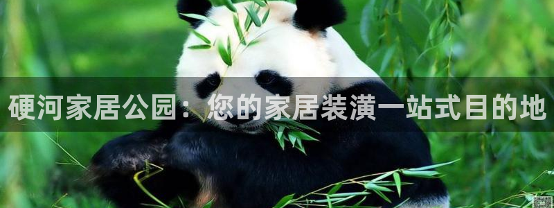 UG环球代理