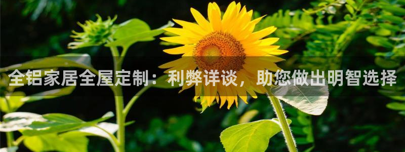 ug环球密码重置是多少位数啊