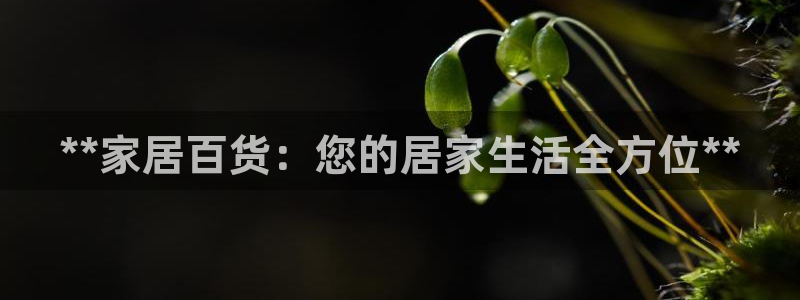 ug环球开户