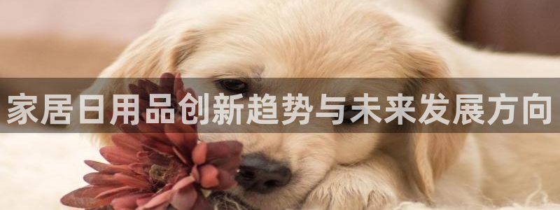 环球ug包杀网