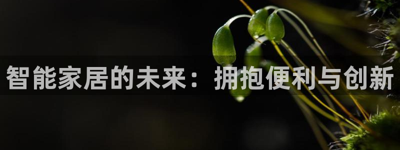 UG环球会员官方