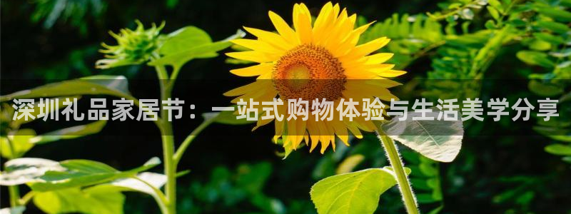 ug环球360代理