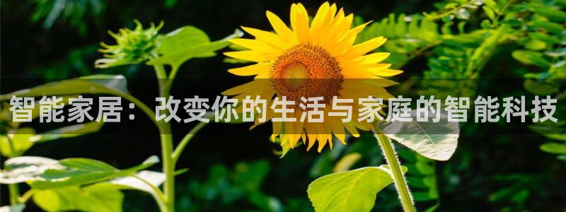 ug环球真假