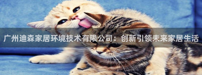 ug环球国际买分