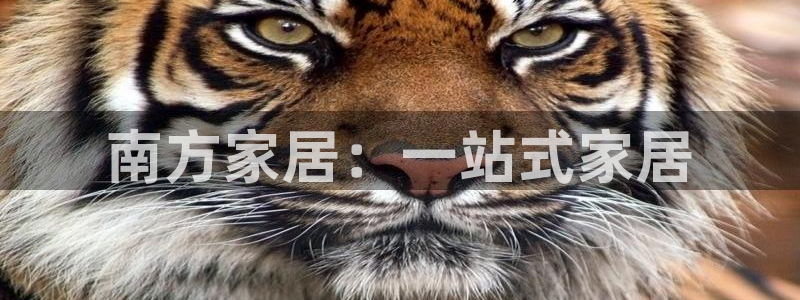 UG环球1比一