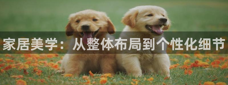 ug环球360官网