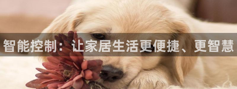 UG环球代理合作