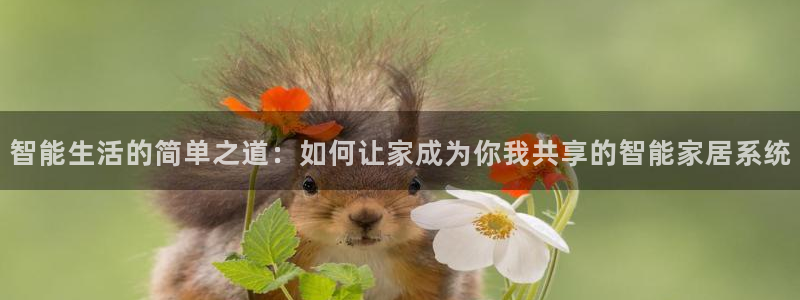 ug环球正网买分