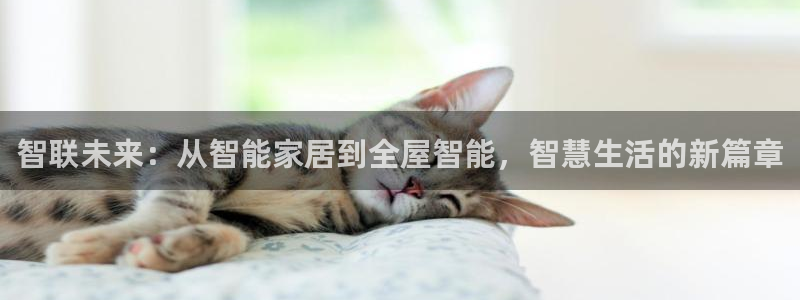 UG环球假网一比一包杀网