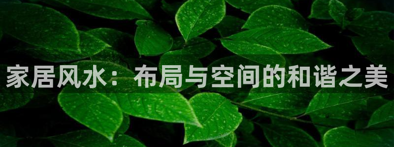 UG环球假网一比一包杀网