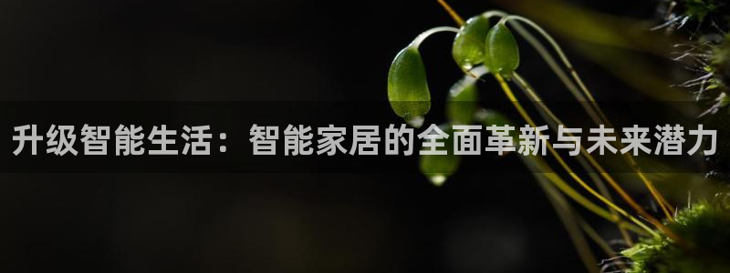 ug环球国际官网